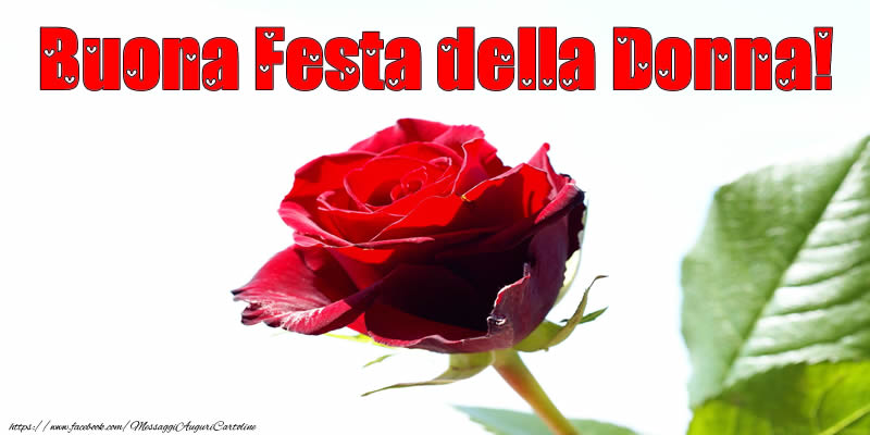 Buona Festa della Donna!