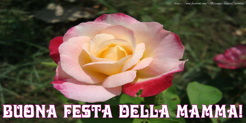 Buona Festa Della Mamma!