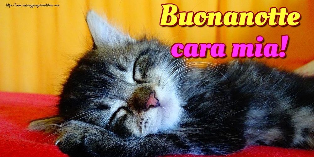 Cartoline di buonanotte - Buonanotte cara mia! - messaggiauguricartoline.com