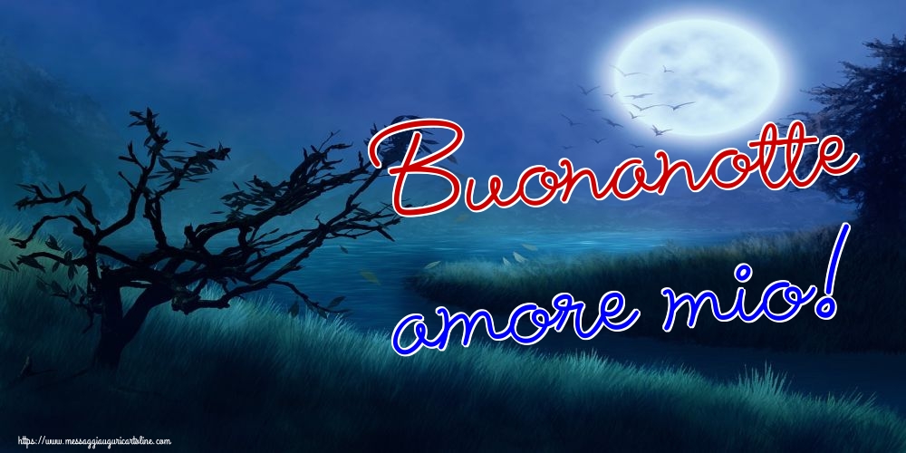 Cartoline di buonanotte - Buonanotte amore mio! - messaggiauguricartoline.com