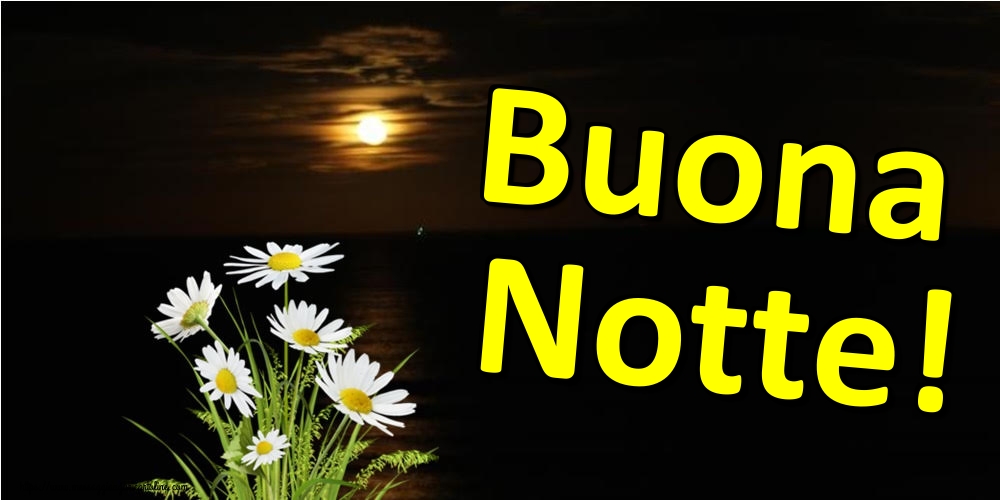 Cartoline di buonanotte - Buona Notte! - messaggiauguricartoline.com