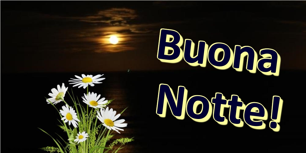 Buonanotte - Buona Notte!