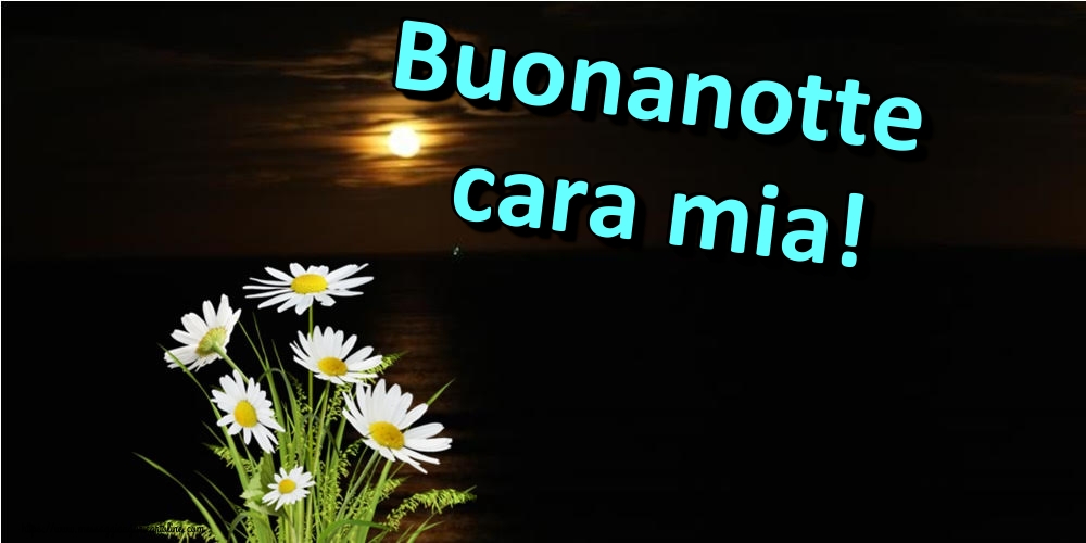 Cartoline di buonanotte - Buonanotte cara mia! - messaggiauguricartoline.com