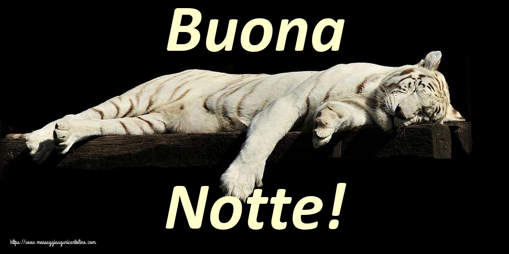 Cartoline di buonanotte - Buona Notte! - messaggiauguricartoline.com