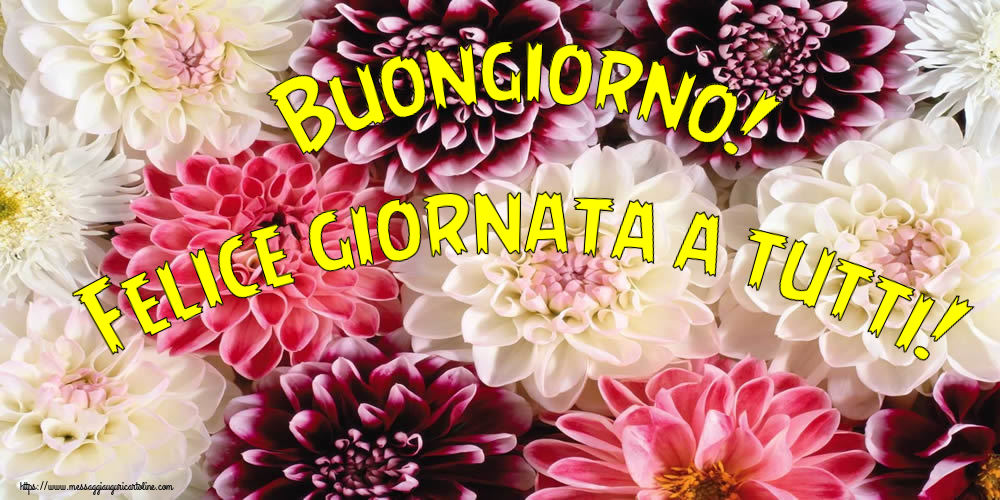 Buongiorno! Felice giornata a tutti!