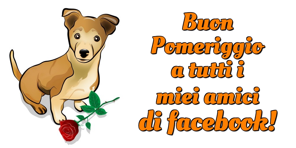 Buon Pomeriggio a tutti i miei amici di facebook!