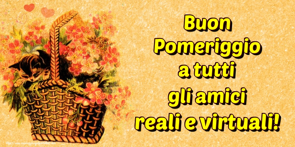 Buon Pomeriggio a tutti gli amici reali e virtuali!