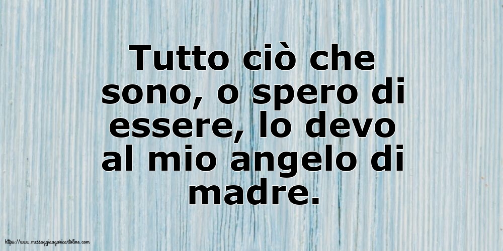 Tutto ciò che sono, o spero di essere, lo devo al mio angelo di madre.