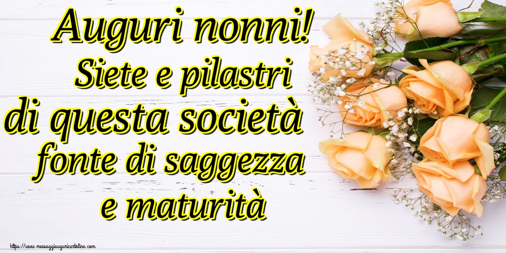 Auguri nonni! Siete e pilastri di questa società fonte di saggezza e maturità