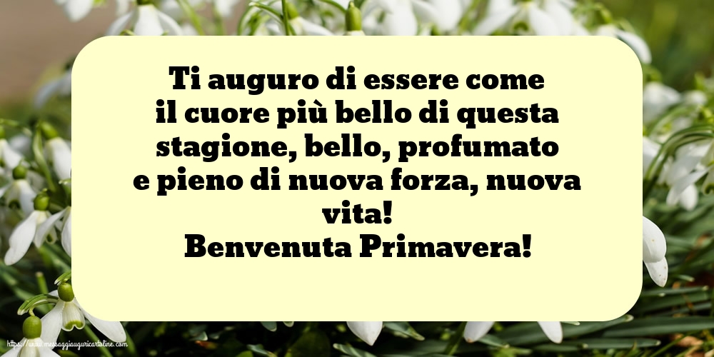 Benvenuta Primavera!