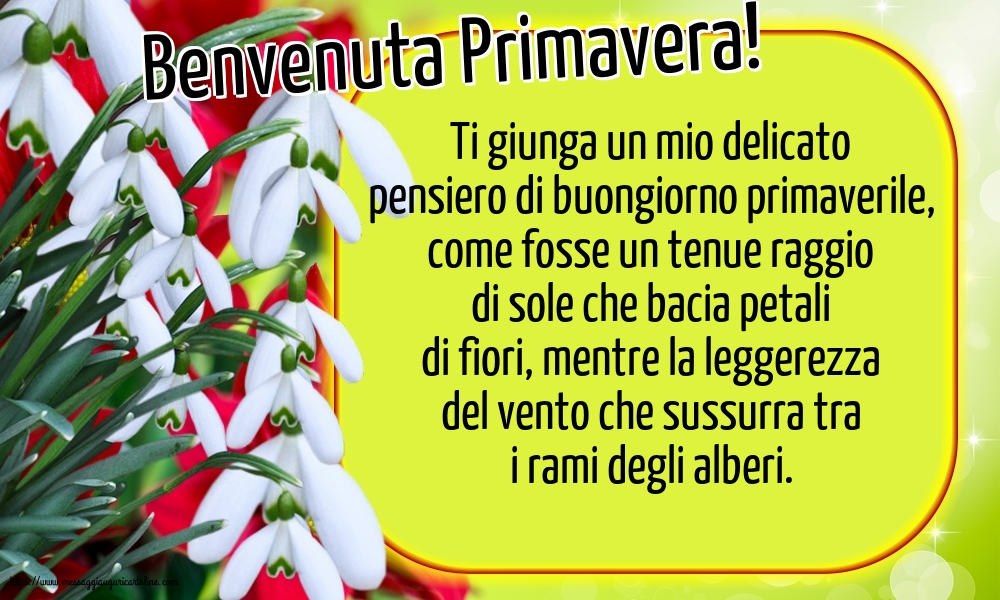 Primavera Benvenuta Primavera!