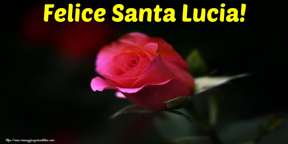 Felice Santa Lucia!