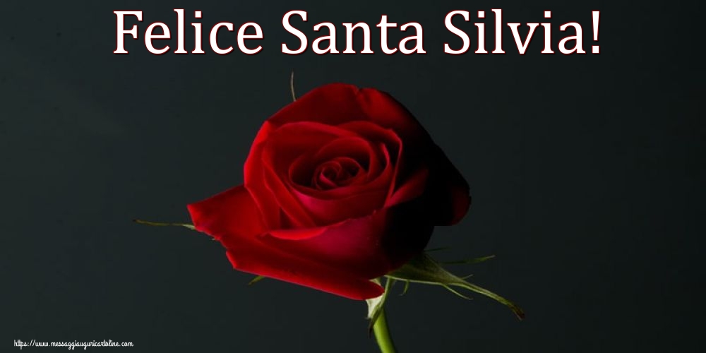 Felice Santa Silvia!