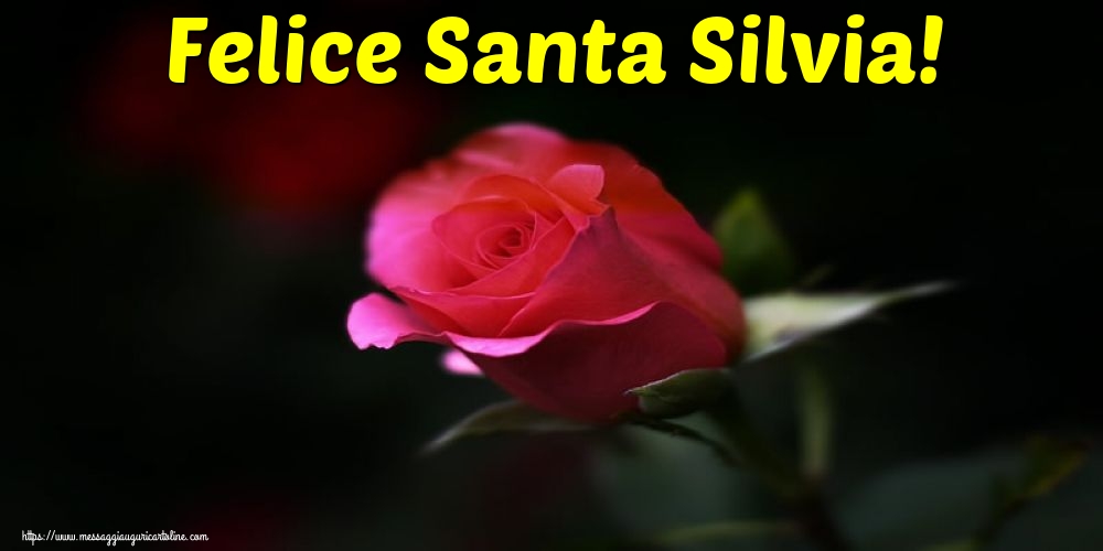 Felice Santa Silvia!