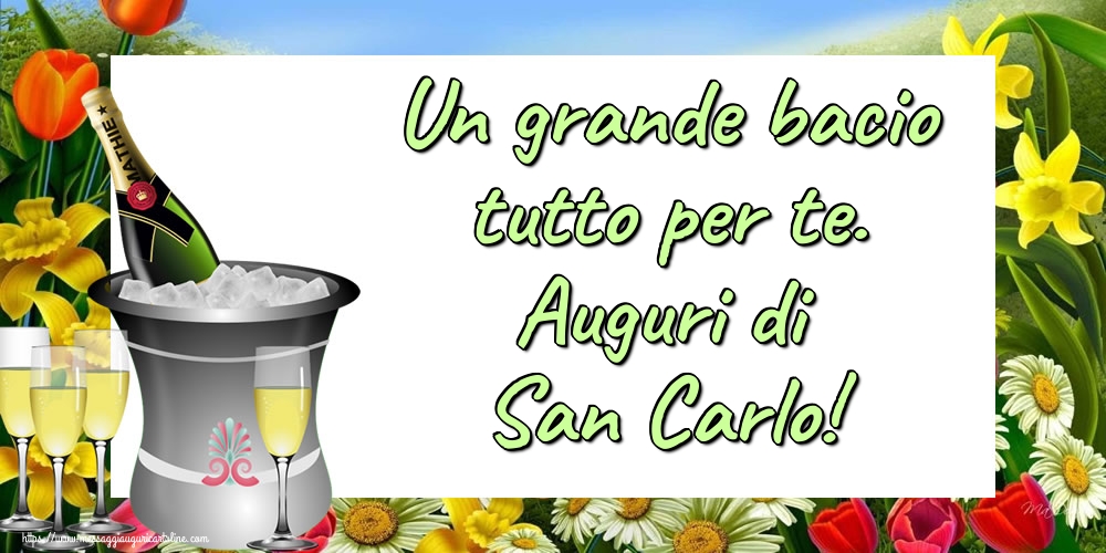 Un grande bacio tutto per te. Auguri di San Carlo!