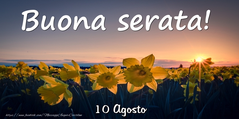 10 Agosto - Buona serata!