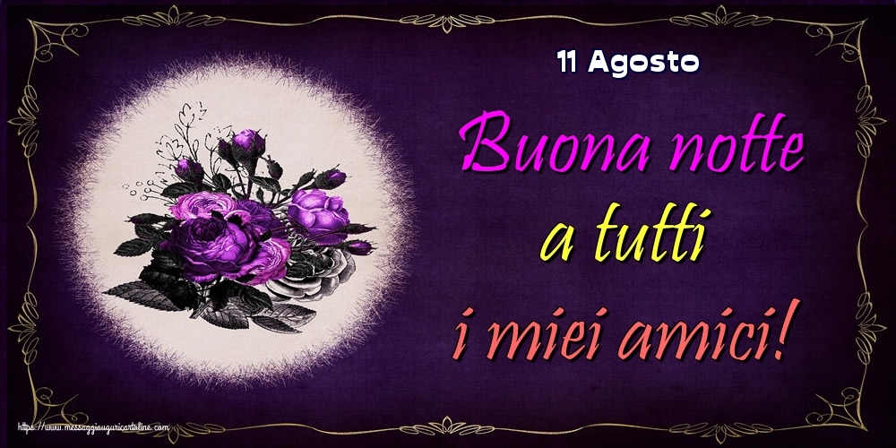 11 Agosto - Buona notte a tutti i miei amici!