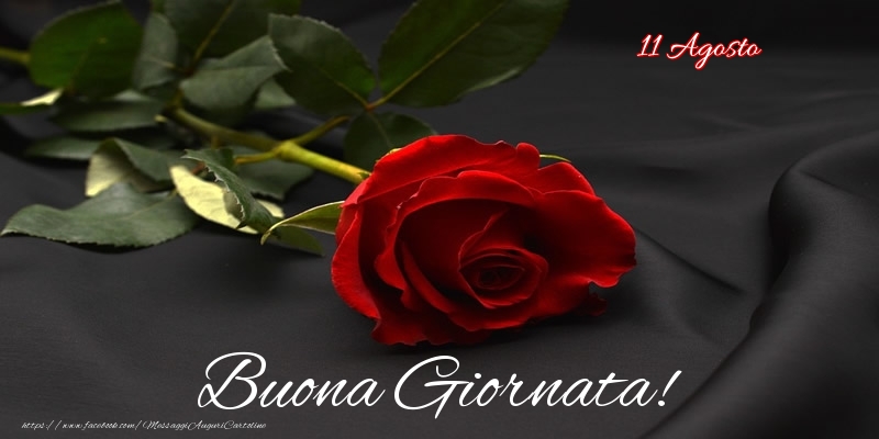 11 Agosto - Buona Giornata!