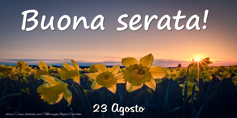 23 Agosto - Buona serata!