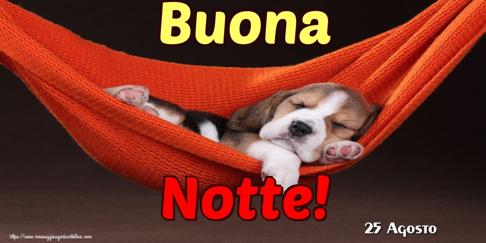 Cartoline di 25 Agosto - 25 Agosto - Buona Notte!