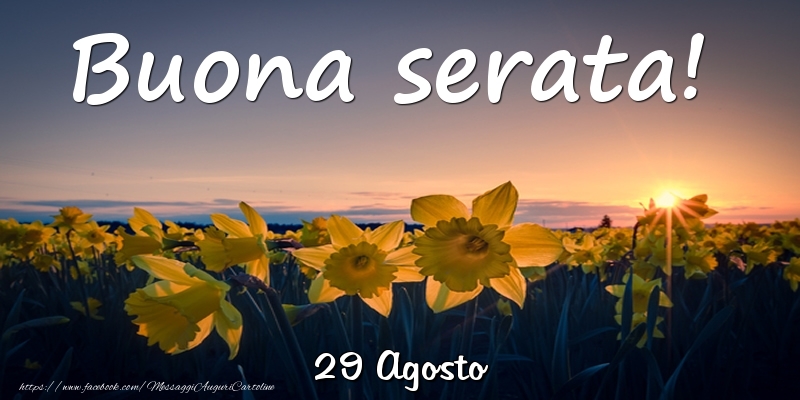 29 Agosto - Buona serata!