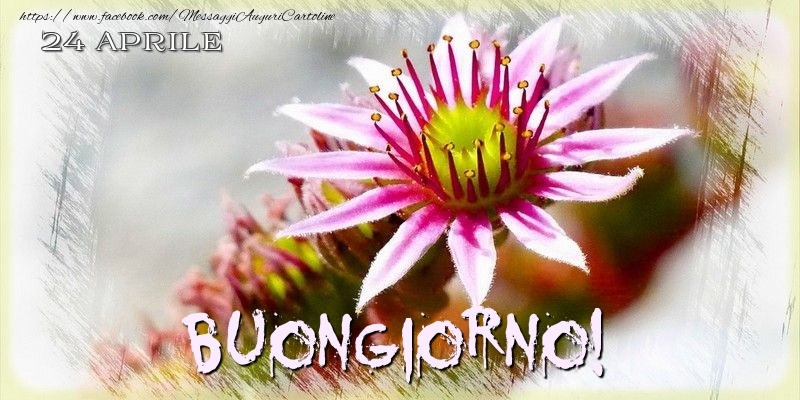 24 Aprile - Buongiorno!