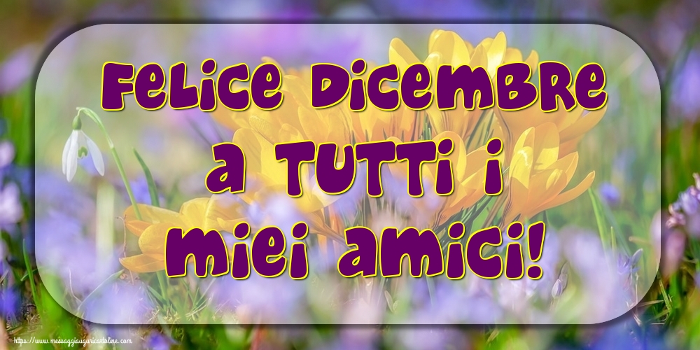 Cartoline di 1 Dicembre - Felice Dicembre a tutti i miei amici!