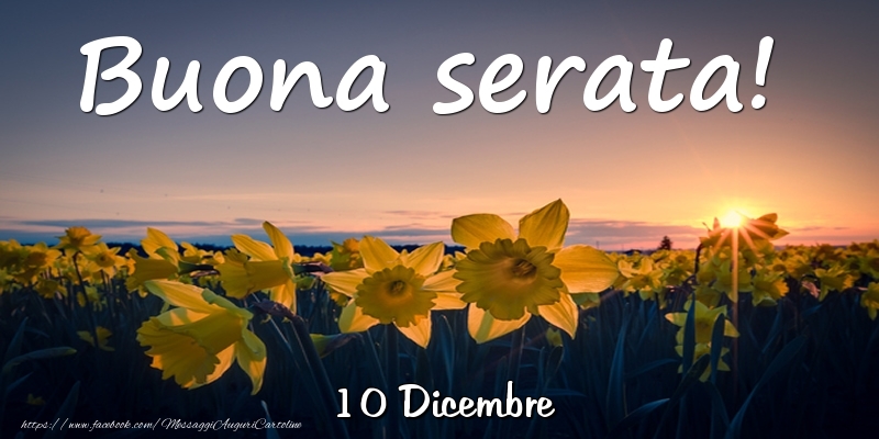 10 Dicembre - Buona serata!