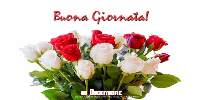 10 Dicembre - Buona Giornata!