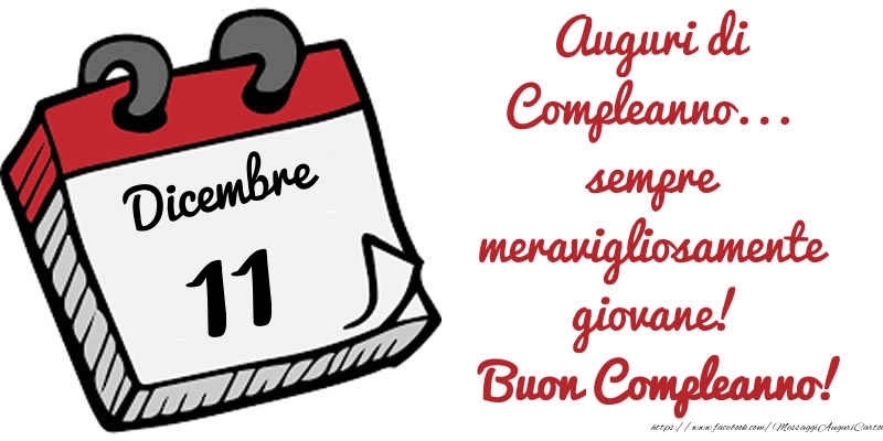 Cartoline di 11 Dicembre - 11 Dicembre - Auguri di Compleanno... sempre meravigliosamente giovane! Buon Compleanno!