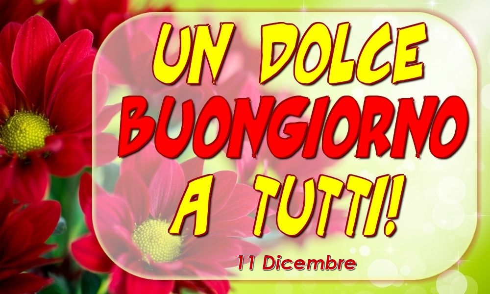 11 Dicembre - Un Dolce Buongiorno a Tutti!