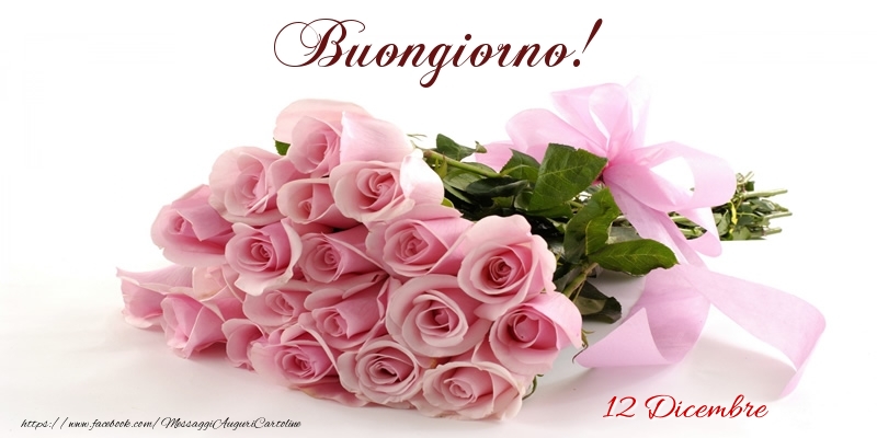 12 Dicembre - Buongiorno!