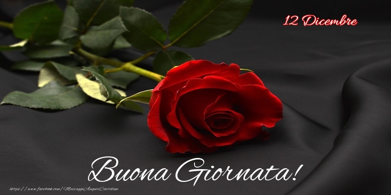 12 Dicembre - Buona Giornata!