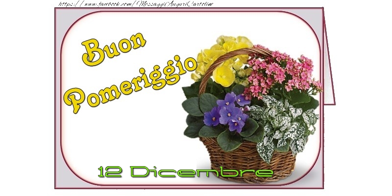 12 Dicembre - Buon Pomeriggio