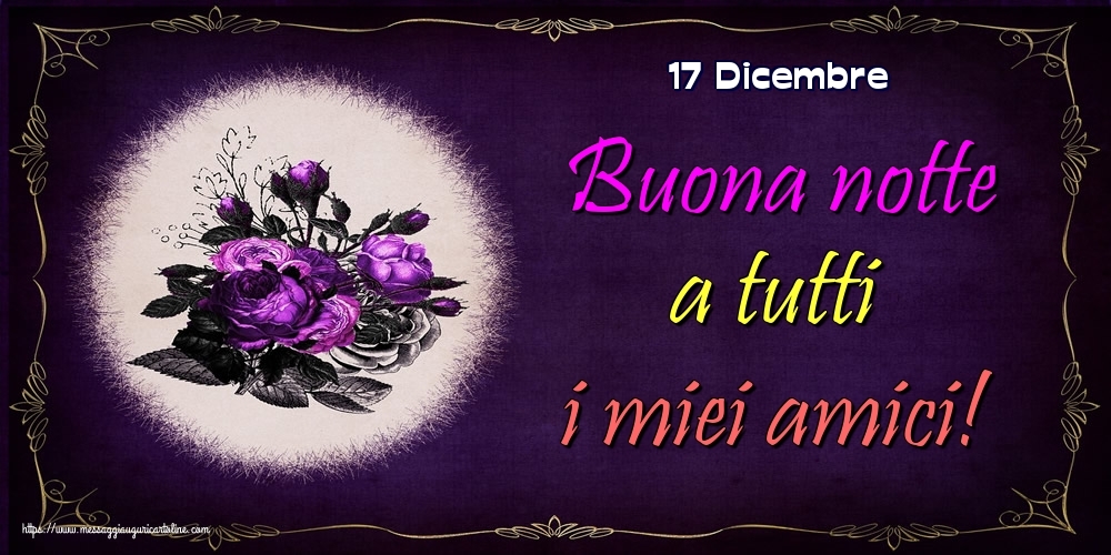 17 Dicembre - Buona notte a tutti i miei amici!