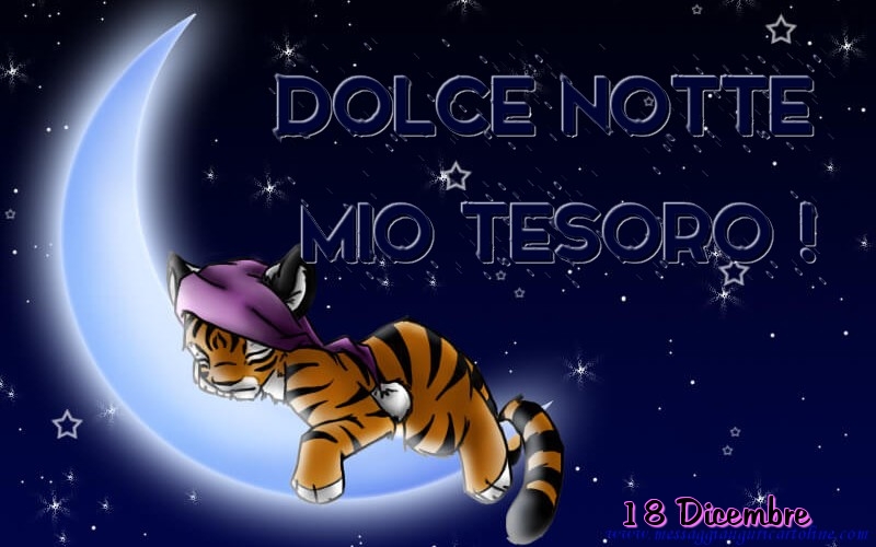 18 Dicembre - Dolce notte mio tesoro!