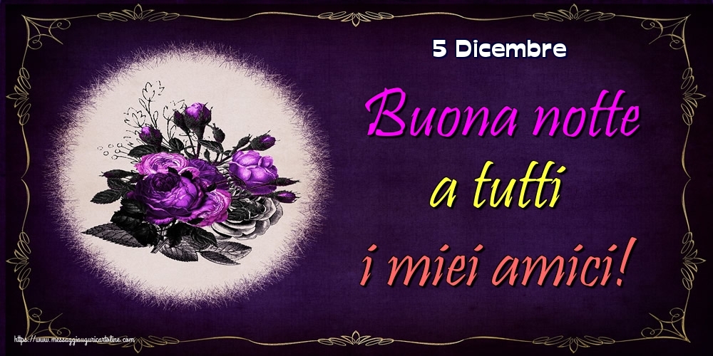 Cartoline di 5 Dicembre - 5 Dicembre - Buona notte a tutti i miei amici!