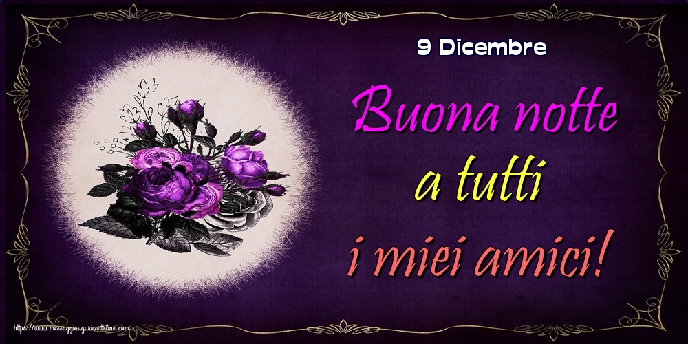 Cartoline di 9 Dicembre - 9 Dicembre - Buona notte a tutti i miei amici!