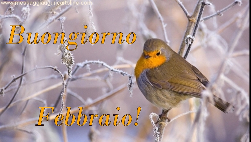 Cartoline di 1 Febbraio - Buongiorno Febbraio!