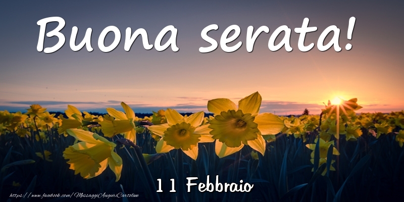 Cartoline di 11 Febbraio - 11 Febbraio - Buona serata!