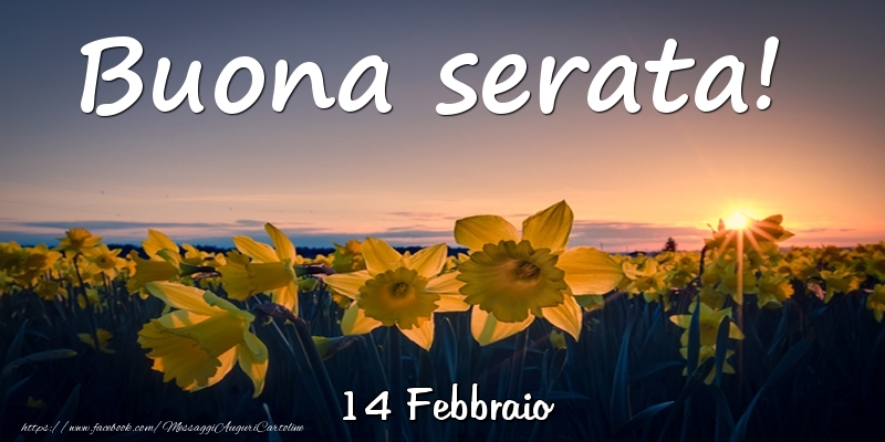 Cartoline di 14 Febbraio - 14 Febbraio - Buona serata!