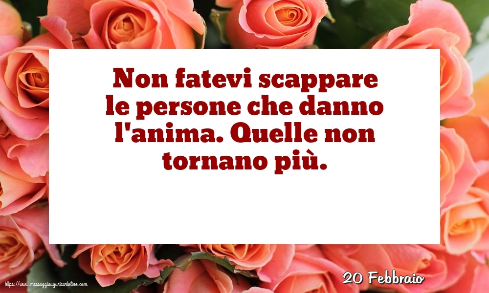 Cartoline di 20 Febbraio - 20 Febbraio - Non fatevi scappare le persone che danno l'anima