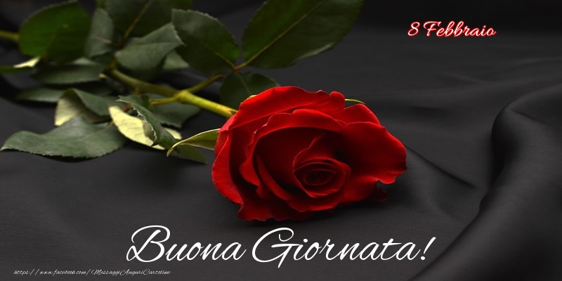 Cartoline di 8 Febbraio - 8 Febbraio - Buona Giornata!