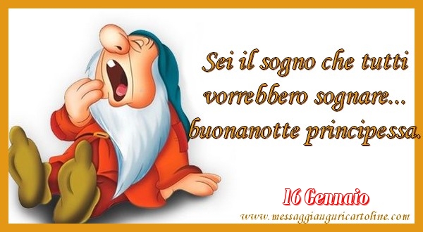 Cartoline di 16 Gennaio - 16 Gennaio - Sei il sogno che tutti  vorrebbero sognare...  buonanotte principessa.