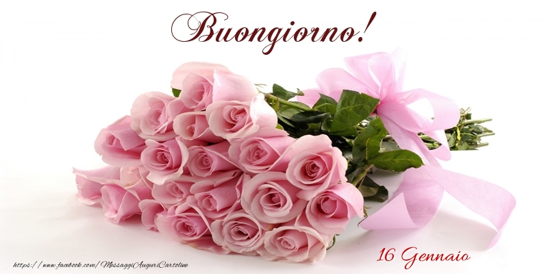 Cartoline di 16 Gennaio - 16 Gennaio - Buongiorno!