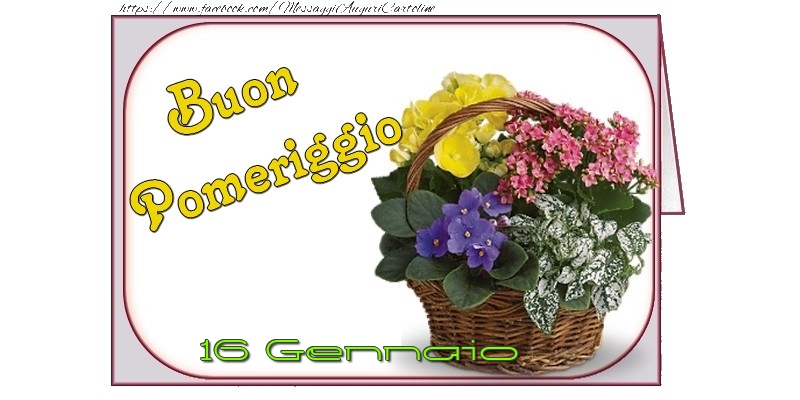 Cartoline di 16 Gennaio - 16 Gennaio - Buon Pomeriggio