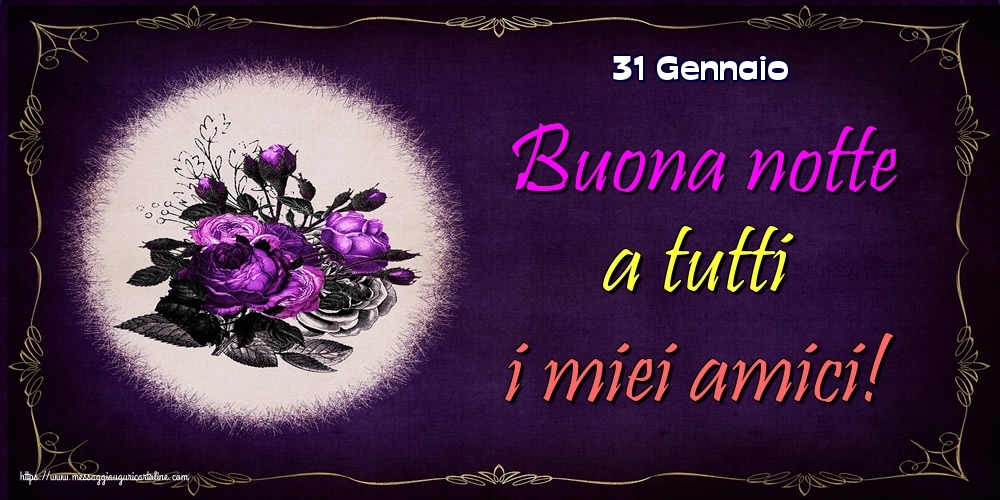 31 Gennaio - Buona notte a tutti i miei amici!