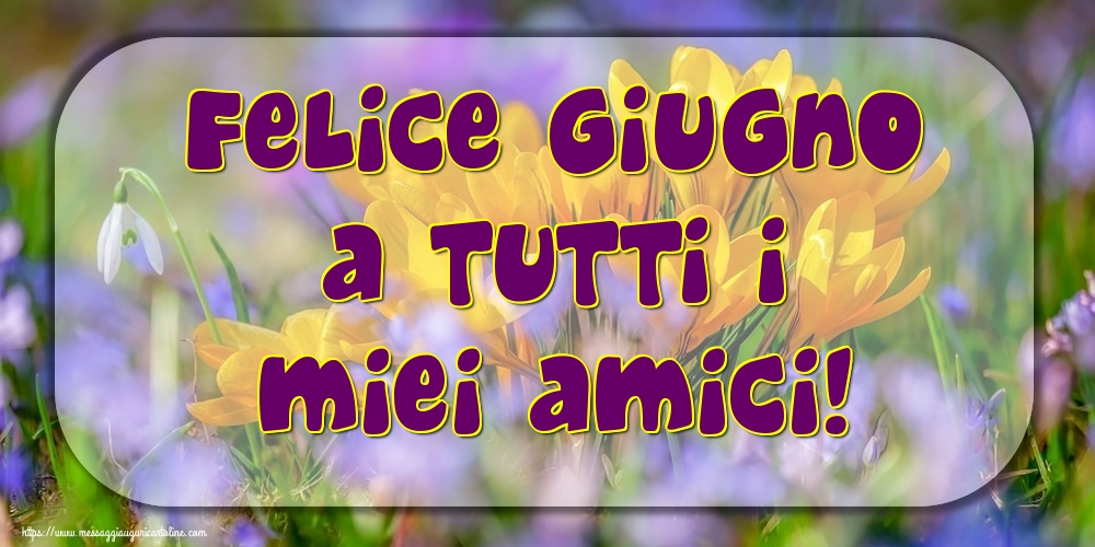 Felice Giugno a tutti i miei amici!