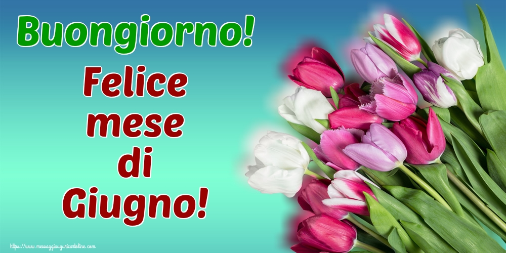 Cartoline di 1 Giugno - Buongiorno! Felice mese di Giugno!