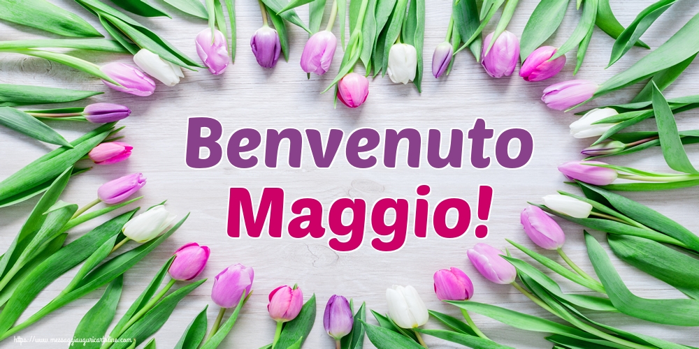 Cartoline di 1 Maggio - Benvenuto Maggio!